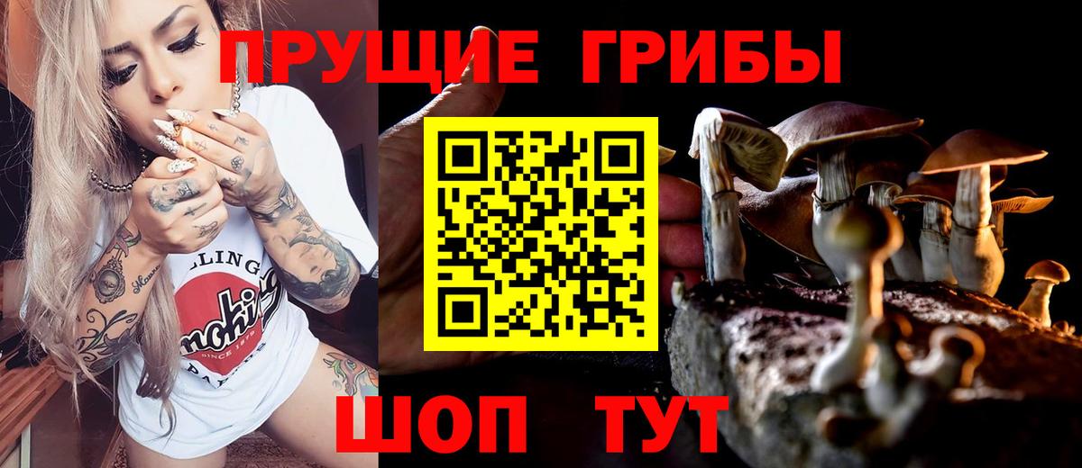 Галлюциногенные грибы GOLDEN TEACHER  Вход с VPN  Семёнов 