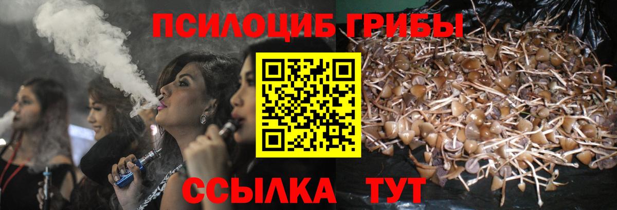 Псилоцибиновые грибы ЛСД Семёнов